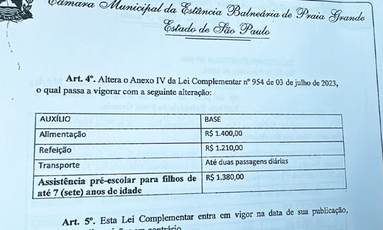 vergonha-lei-camara